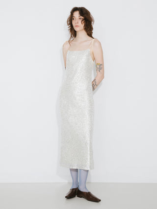 Sequin Fabric Dress