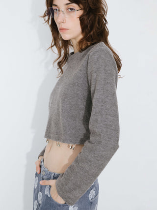 Long Sleeve Crop Top